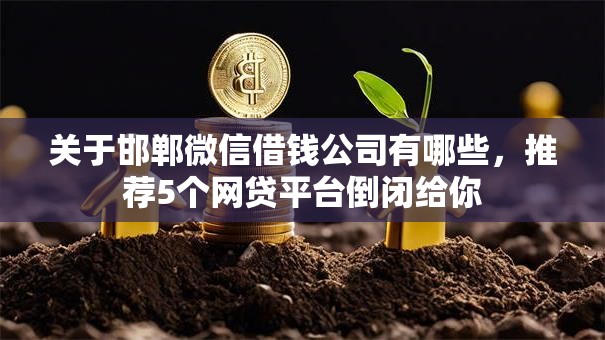 关于邯郸微信借钱公司有哪些，推荐5个网贷平台倒闭给你