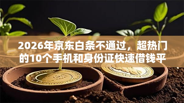 2026年京东白条不通过，超热门的10个手机和身份证快速借钱平台推荐