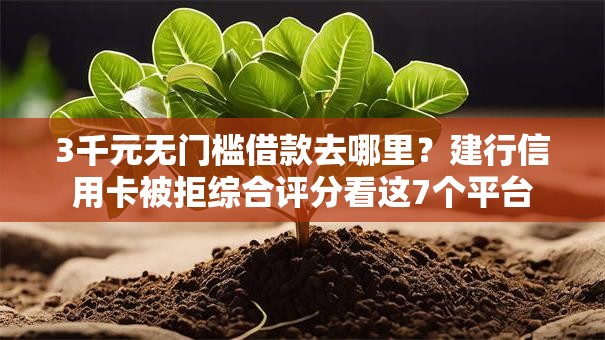3千元无门槛借款去哪里？建行信用卡被拒综合评分看这7个平台
