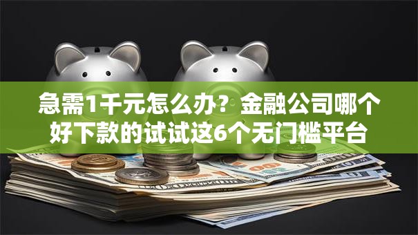 急需1千元怎么办？金融公司哪个好下款的试试这6个无门槛平台
