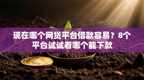现在哪个网贷平台借款容易？8个平台试试看哪个能下款