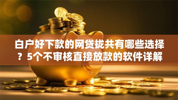 白户好下款的网贷拢共有哪些选择？5个不审核直接放款的软件详解