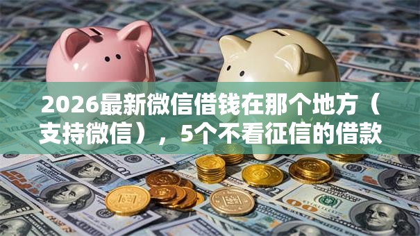 2026最新微信借钱在那个地方（支持微信），5个不看征信的借款平台百分百无私分享