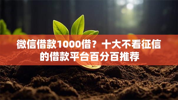 微信借款1000借？十大不看征信的借款平台百分百推荐