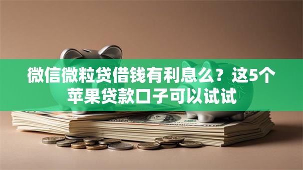 微信微粒贷借钱有利息么？这5个苹果贷款口子可以试试