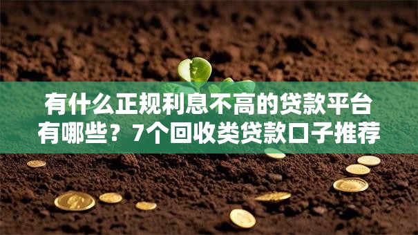 有什么正规利息不高的贷款平台有哪些？7个回收类贷款口子推荐给你