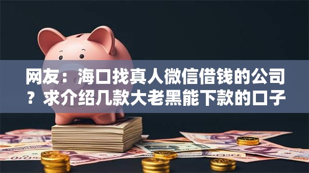 网友：海口找真人微信借钱的公司？求介绍几款大老黑能下款的口子