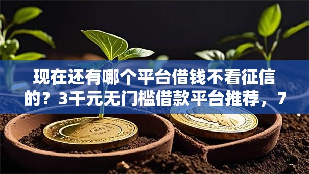 现在还有哪个平台借钱不看征信的？3千元无门槛借款平台推荐，7个黑户1000元必下的口子盘点