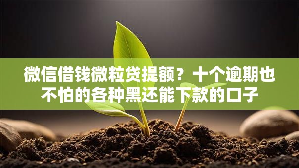 微信借钱微粒贷提额?十个逾期也不怕的各种黑还能下款的口子 微信借钱微粒贷提额?十个逾期也不怕的各种黑还能下款的口子