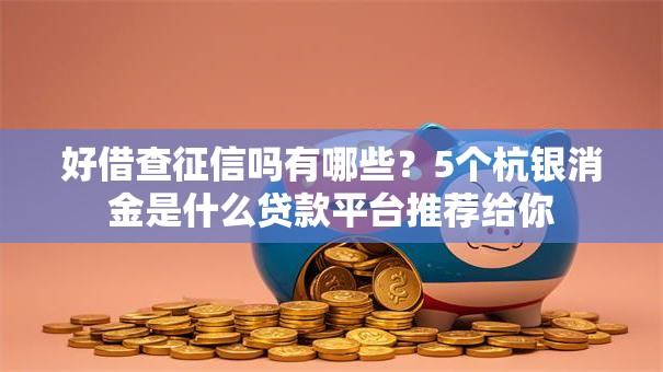 好借查征信吗有哪些？5个杭银消金是什么贷款平台推荐给你