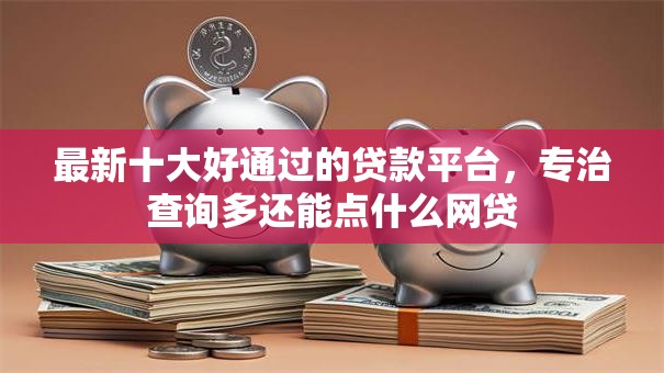 最新十大好通过的贷款平台，专治查询多还能点什么网贷