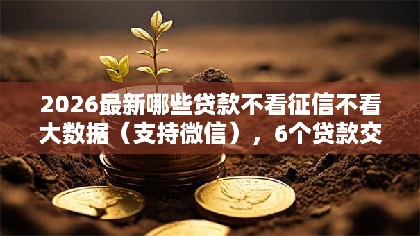 2026最新哪些贷款不看征信不看大数据（支持微信），6个贷款交流平台无私分享