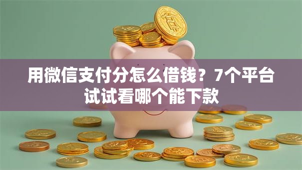 用微信支付分怎么借钱？7个平台试试看哪个能下款