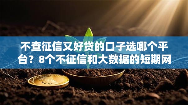 不查征信又好贷的口子选哪个平台？8个不征信和大数据的短期网贷适合58岁的平台推荐