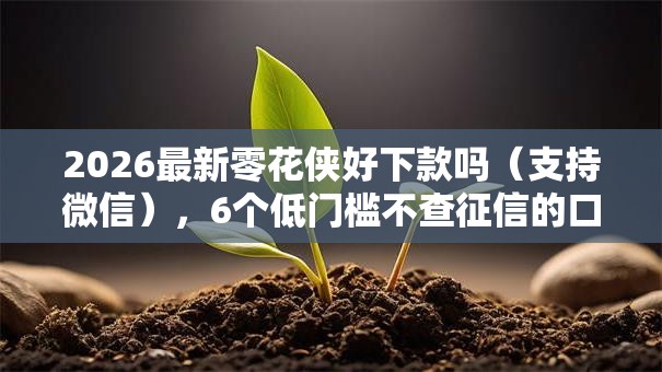 2026最新零花侠好下款吗（支持微信），6个低门槛不查征信的口子无私分享
