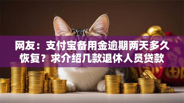 网友：支付宝备用金逾期两天多久恢复？求介绍几款退休人员贷款平台