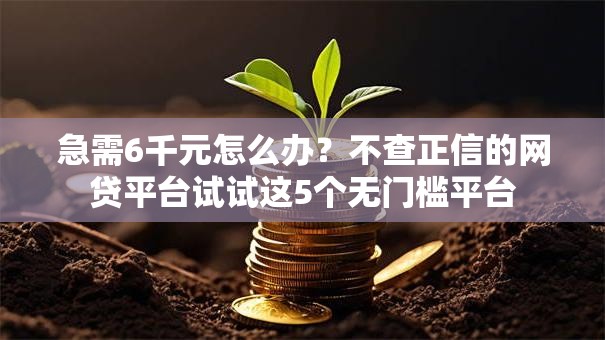 急需6千元怎么办？不查正信的网贷平台试试这5个无门槛平台