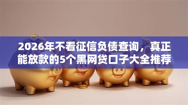 2026年不看征信负债查询，真正能放款的5个黑网贷口子大全推荐