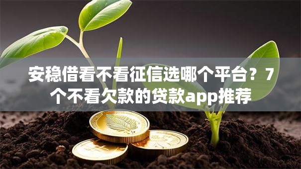 安稳借看不看征信选哪个平台？7个不看欠款的贷款app推荐