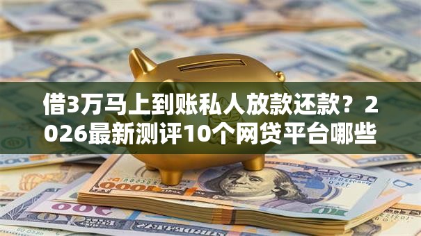 借3万马上到账私人放款还款？2026最新测评10个网贷平台哪些比较正规