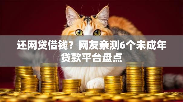 还网贷借钱？网友亲测6个未成年贷款平台盘点