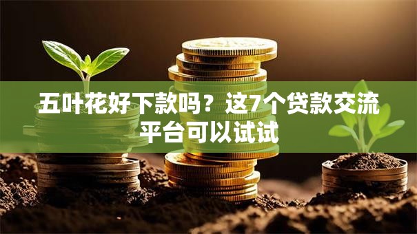 五叶花好下款吗？这7个贷款交流平台可以试试