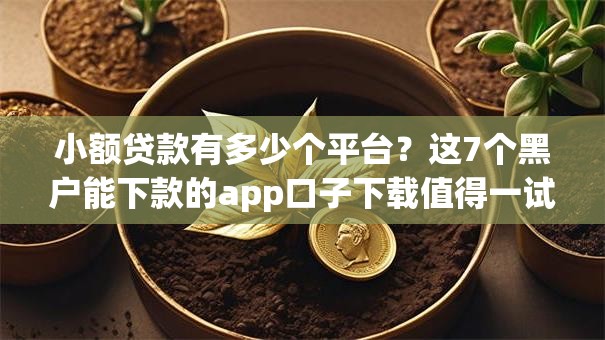 小额贷款有多少个平台？这7个黑户能下款的app口子下载值得一试