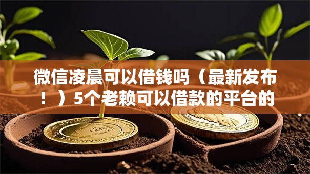 微信凌晨可以借钱吗（最新发布！）5个老赖可以借款的平台的