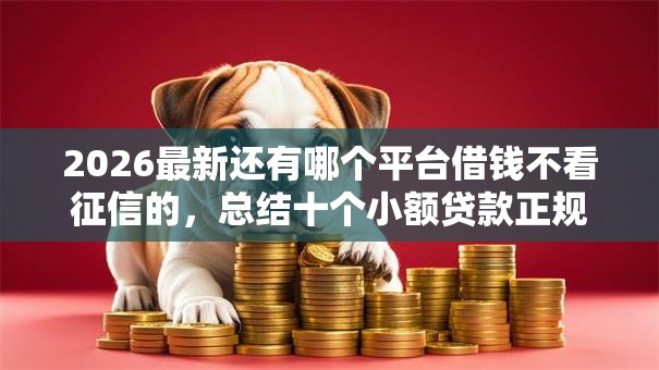 2026最新还有哪个平台借钱不看征信的，总结十个小额贷款正规平台！