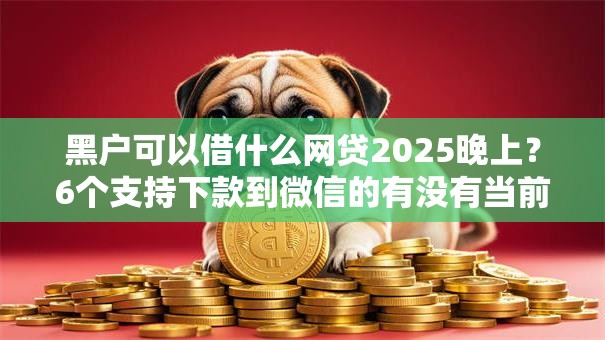 黑户可以借什么网贷2025晚上？6个支持下款到微信的有没有当前逾期能下款的口子
