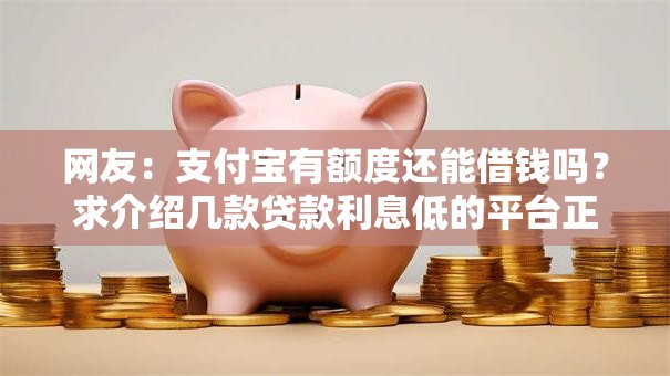 网友：支付宝有额度还能借钱吗？求介绍几款贷款利息低的平台正规