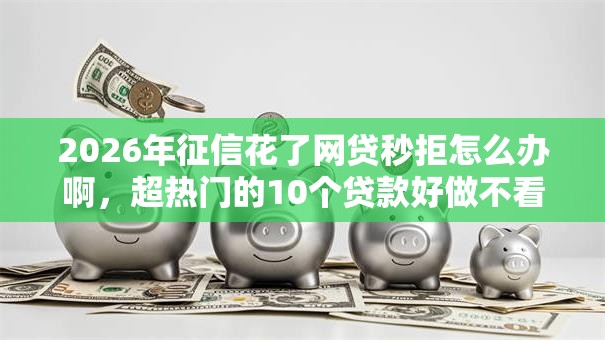 2026年征信花了网贷秒拒怎么办啊,超热门的10个贷款好做不看征信的软件推荐 2026年征信花了网贷秒拒怎么办啊,超热门的10个贷款好做不看征信的软件推荐