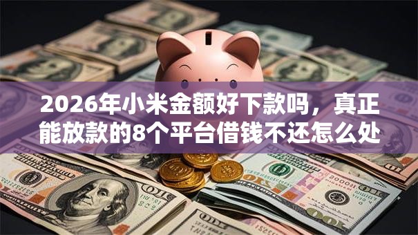 2026年小米金额好下款吗，真正能放款的8个平台借钱不还怎么处理推荐