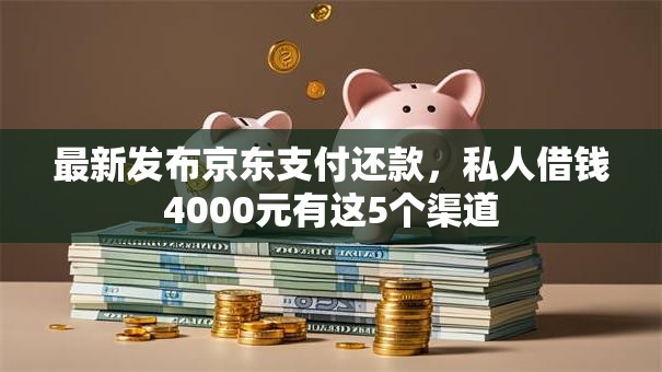 最新发布京东支付还款，私人借钱4000元有这5个渠道