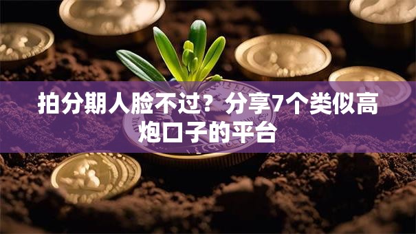 拍分期人脸不过？分享7个类似高炮口子的平台
