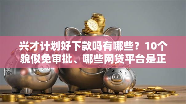 兴才计划好下款吗有哪些？10个貌似免审批、哪些网贷平台是正规的合集