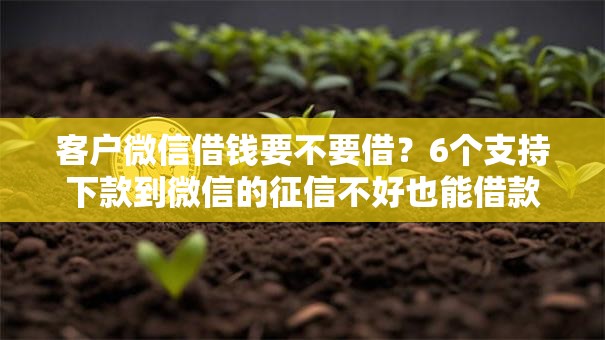客户微信借钱要不要借？6个支持下款到微信的征信不好也能借款的平台