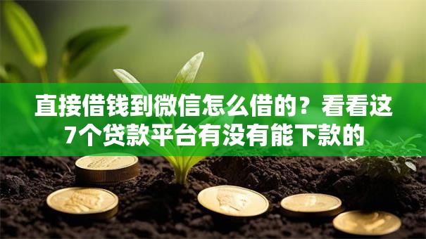 直接借钱到微信怎么借的？看看这7个贷款平台有没有能下款的
