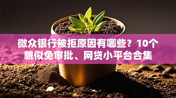 微众银行被拒原因有哪些？10个貌似免审批、网贷小平台合集