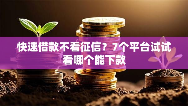 快速借款不看征信?7个平台试试看哪个能下款 快速借款不看征信?7个平台试试看哪个能下款