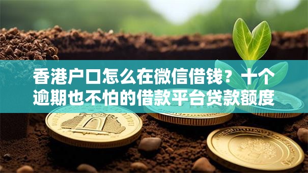 香港户口怎么在微信借钱？十个逾期也不怕的借款平台贷款额度高