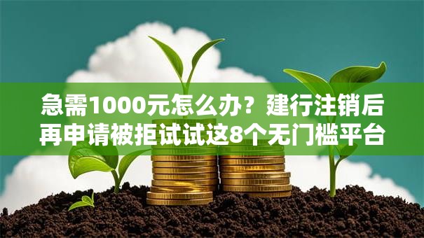 急需1000元怎么办？建行注销后再申请被拒试试这8个无门槛平台