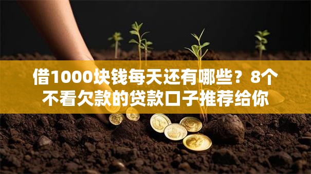 借1000块钱每天还有哪些？8个不看欠款的贷款口子推荐给你