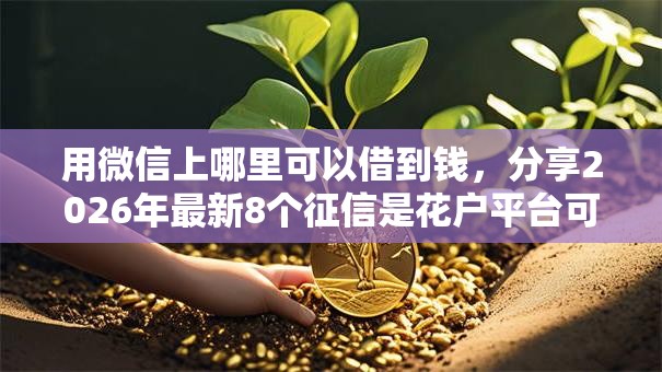 用微信上哪里可以借到钱，分享2026年最新8个征信是花户平台可以借钱不