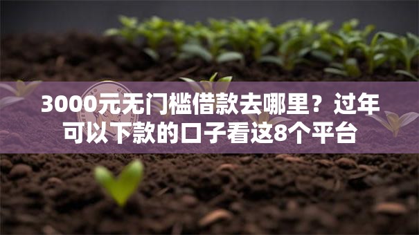 3000元无门槛借款去哪里？过年可以下款的口子看这8个平台