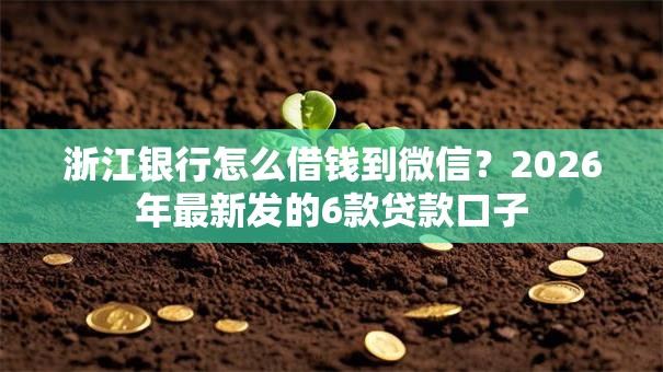 浙江银行怎么借钱到微信？2026年最新发的6款贷款口子