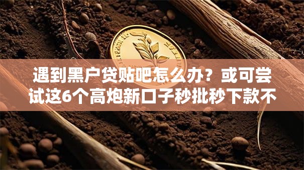 遇到黑户贷贴吧怎么办？或可尝试这6个高炮新口子秒批秒下款不上征信不用还的