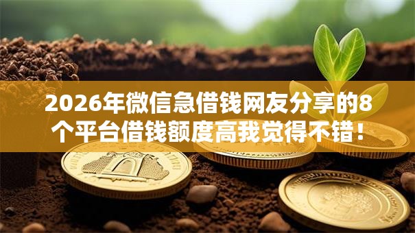 2026年微信急借钱网友分享的8个平台借钱额度高我觉得不错！