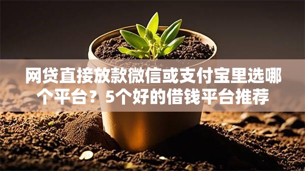 网贷直接放款微信或支付宝里选哪个平台？5个好的借钱平台推荐