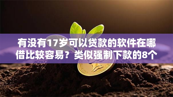 有没有17岁可以贷款的软件在哪借比较容易？类似强制下款的8个口子参考